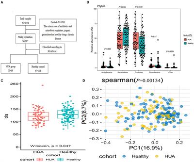 Structural and Functional Alterations of Gut Microbiota in Males With Hyperuricemia and High Levels of Liver Enzymes